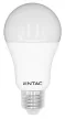 Entac LED Globe E27 15W NW 4000K